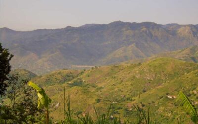 From Bare Hills to Thriving Groves